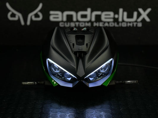 CATTIVO - Kawasaki Z1000